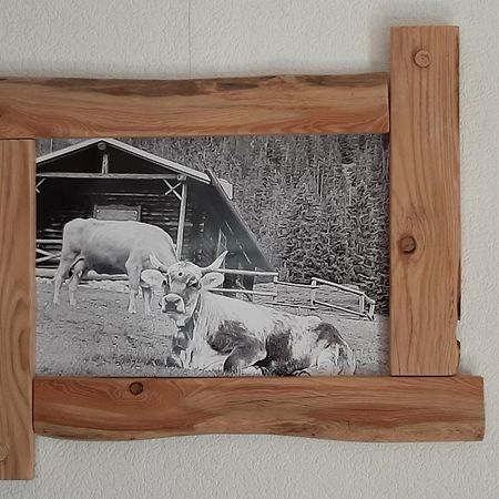 Fewo Holzwurm Braunlage Bagian luar foto