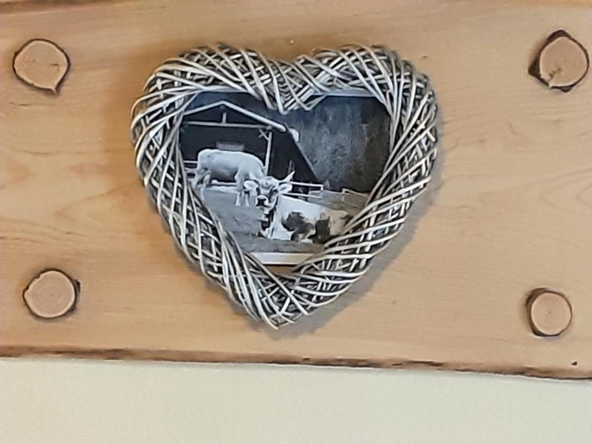 Fewo Holzwurm Braunlage Bagian luar foto