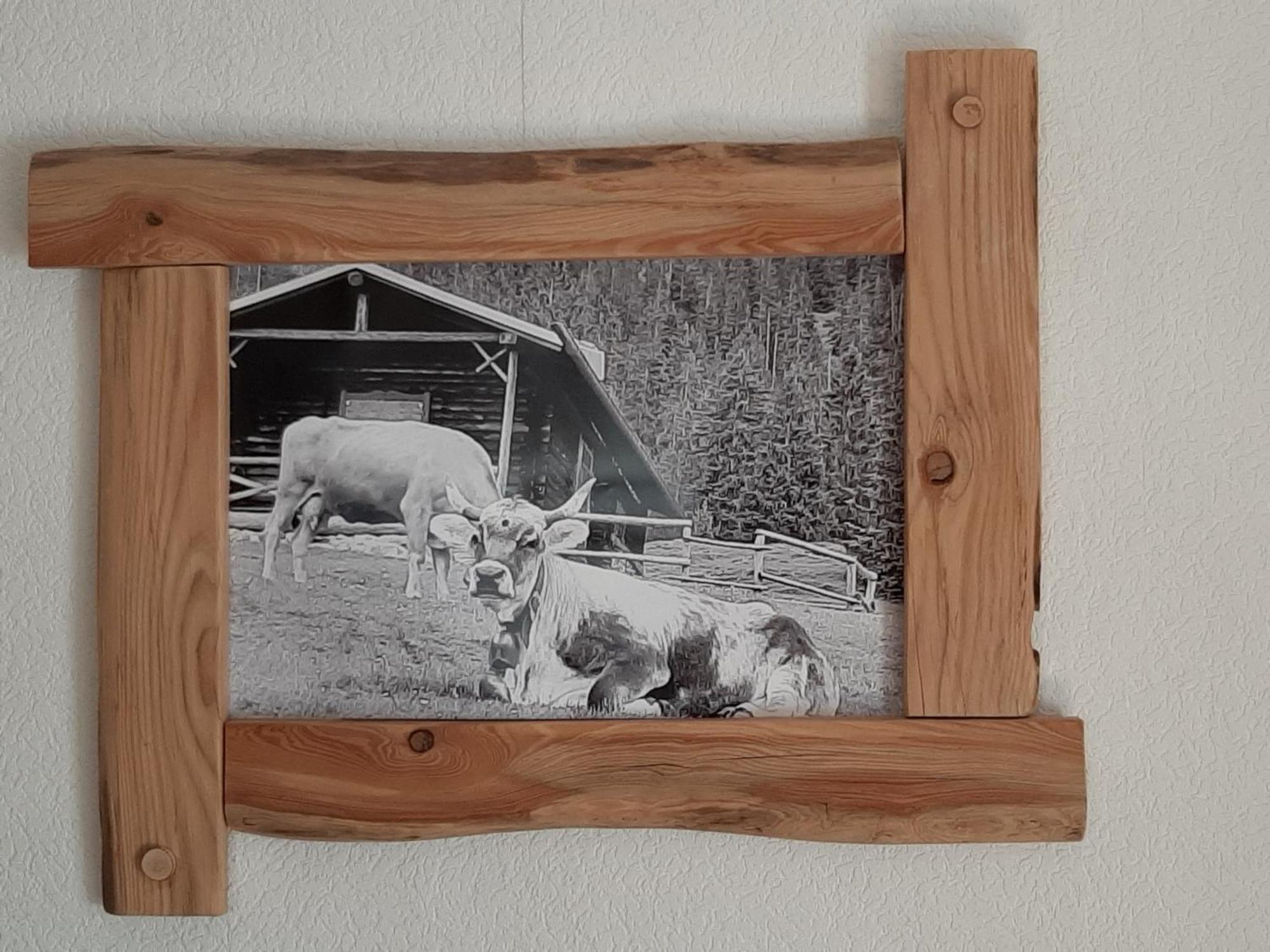 Fewo Holzwurm Braunlage Bagian luar foto